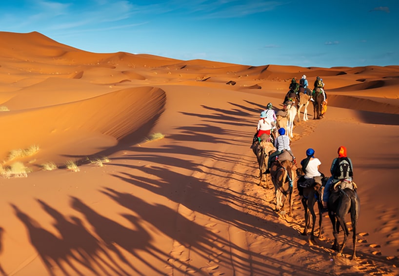 PROMO Voyage Organisé Tunisie 2025